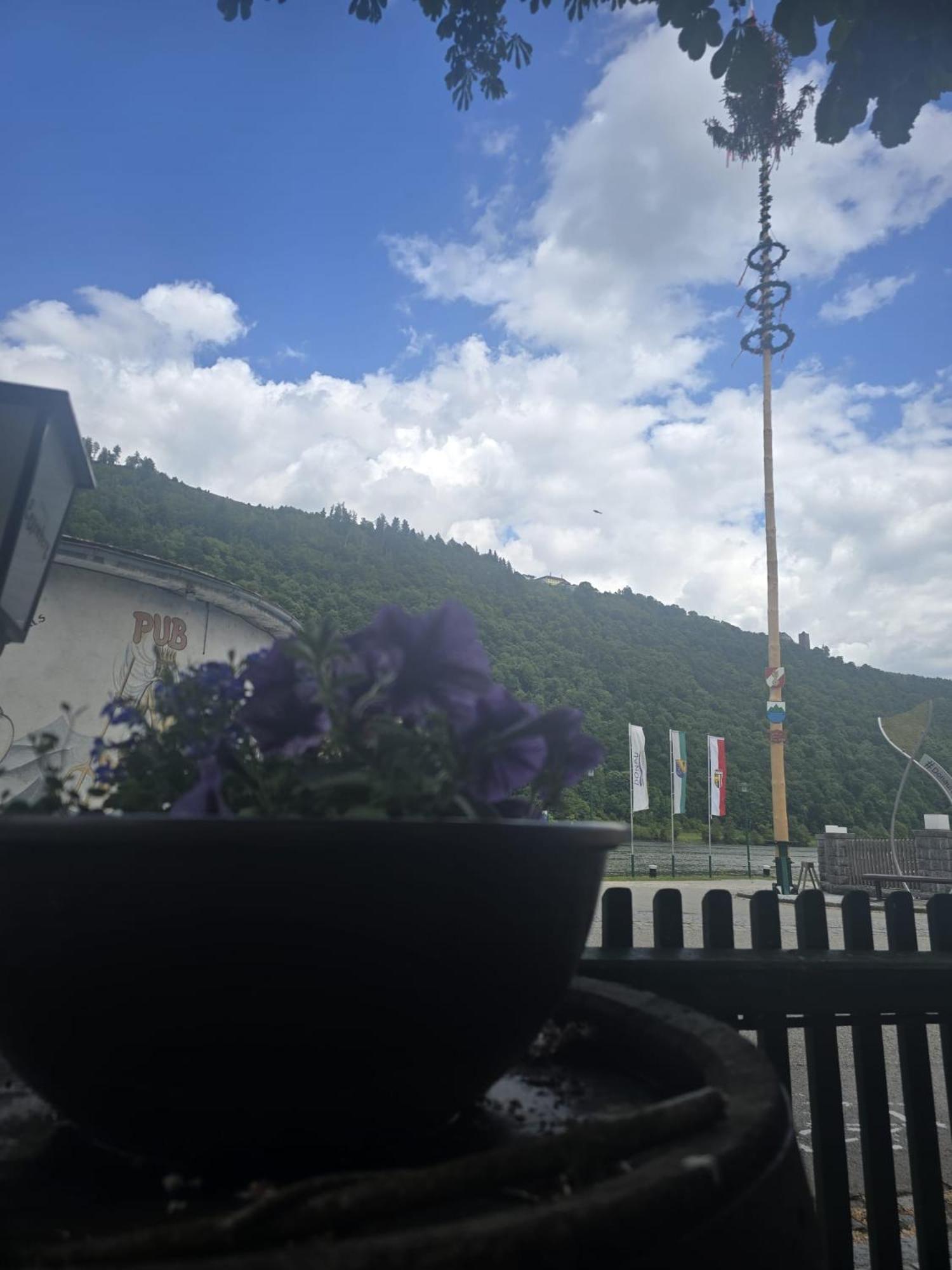 Gasthof Zum Schiffmeister 魏森乌弗 外观 照片